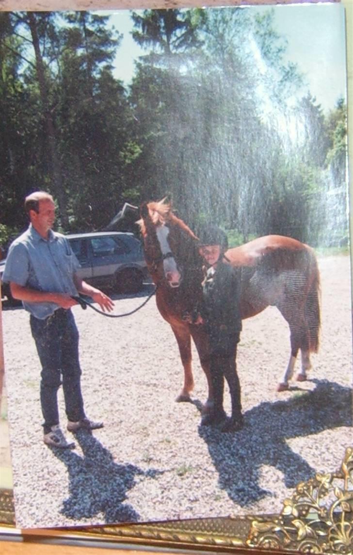 New Forest LL. Møllegårdens Tony - min far, Tony og jeg derhjemme(: billede 3