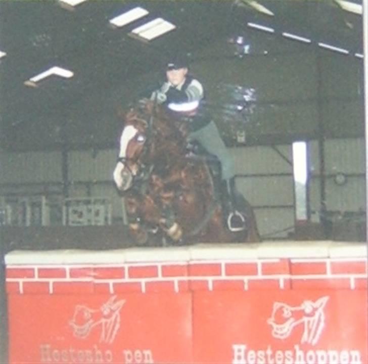 New Forest LL. Møllegårdens Tony - tony og jeg springer muren, 1 meter. billede 6