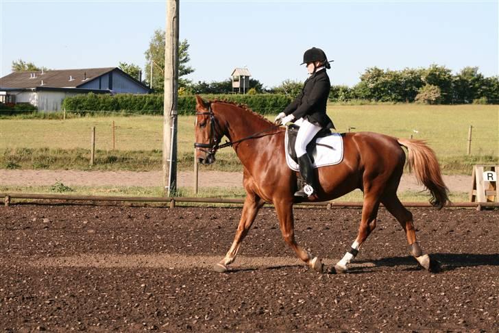 Oldenborg TICHO(passer) - lidt pæner:) billede 8