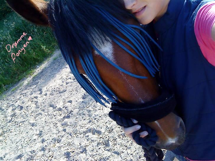Anden særlig race Vanessa <3   - Jeg elsker den pony <3 billede 7