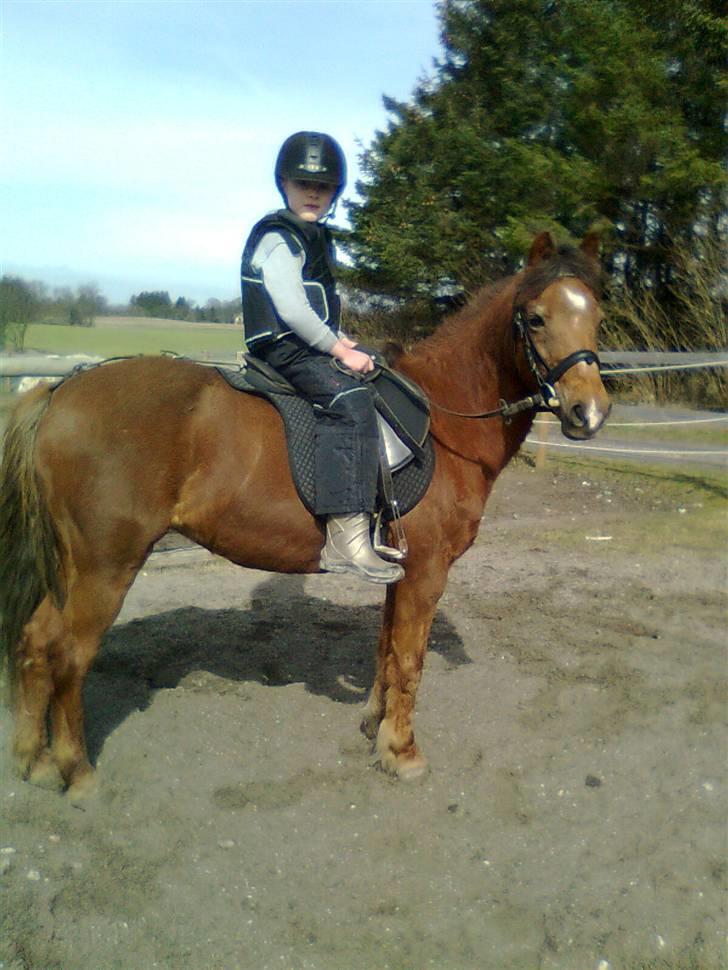 New Forest Matilte<3*solgt :'( * - Matilte og elskede fætter ;i billede 18