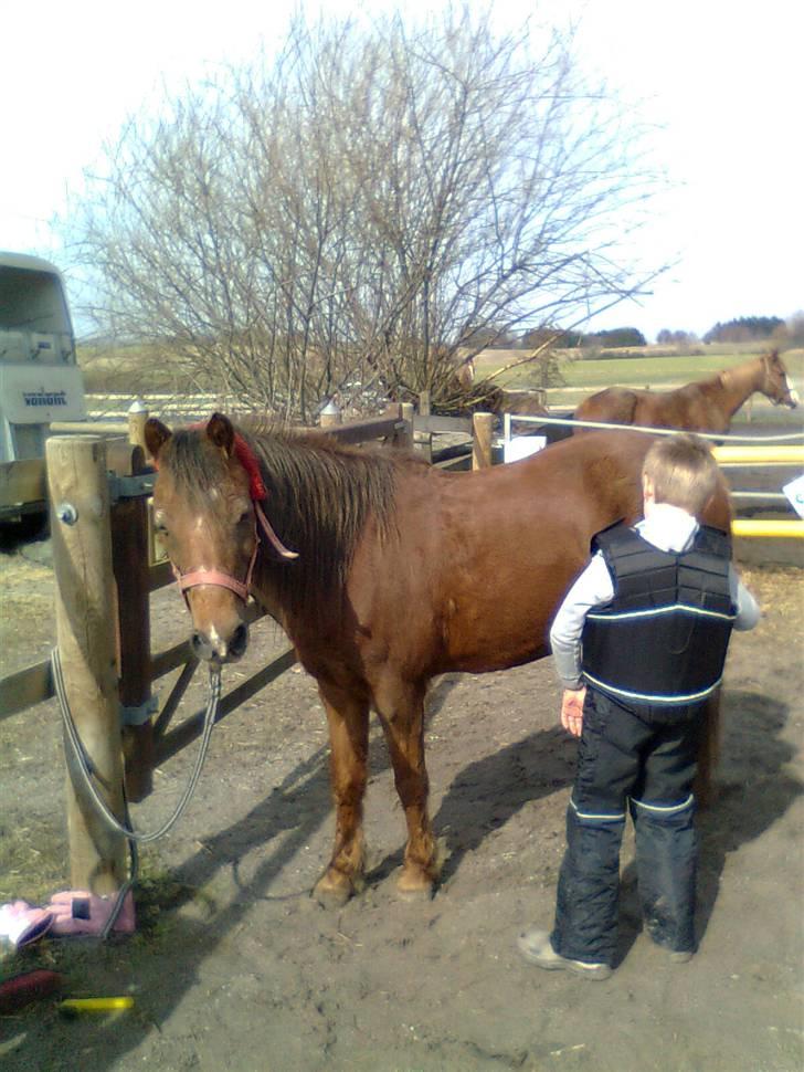 New Forest Matilte<3*solgt :'( * - Så strigler fætter(;<3 billede 19