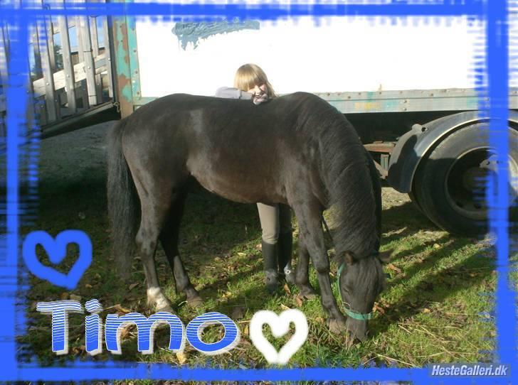 Anden særlig race timo ¤solgt¤ - <3333333333333333333333333333333 billede 14