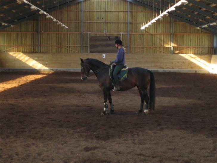 Oldenborg Canny Kikmose billede 2