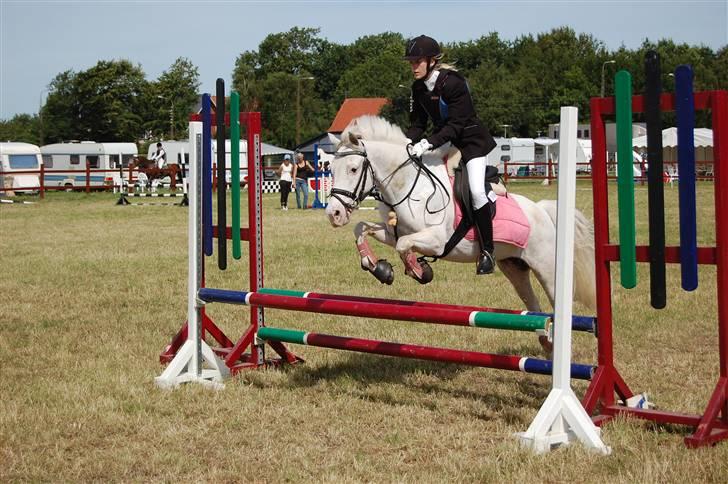 DSP ottelia billede 11