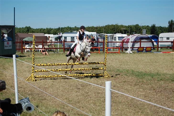 DSP ottelia billede 12