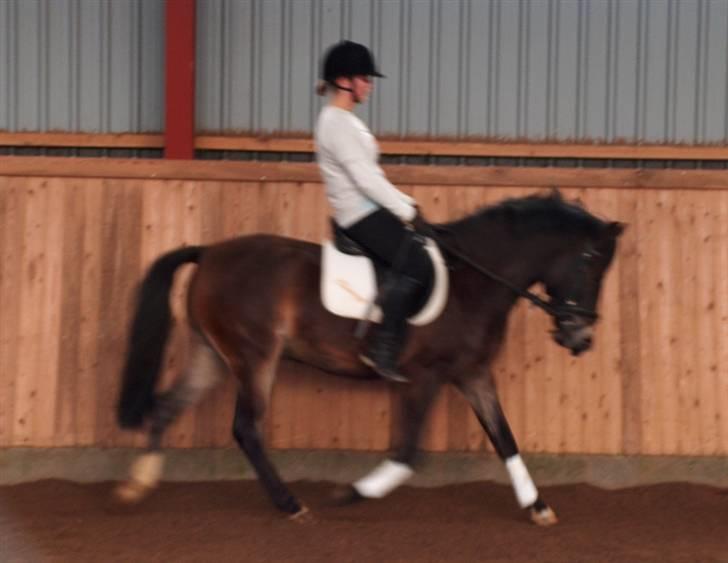 Anden særlig race Donald - Trip, trap, trip, trap billede 6