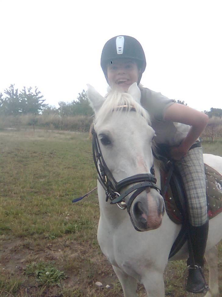 Anden særlig race Stardust - haha (: - vi er nede og springe på græsbanen :D billede 12