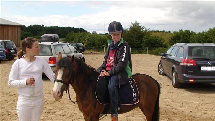 Welsh Mountain (sec A) Aladin gl. part  - min bror mads for en lille tur på den smukke billede 2