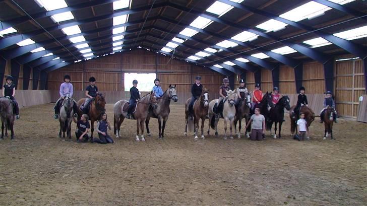 Welsh Mountain (sec A) Aladin gl. part  - Her er jeg yderst til højre,sammen med alle dem jeg var på ridelejr med (; billede 4