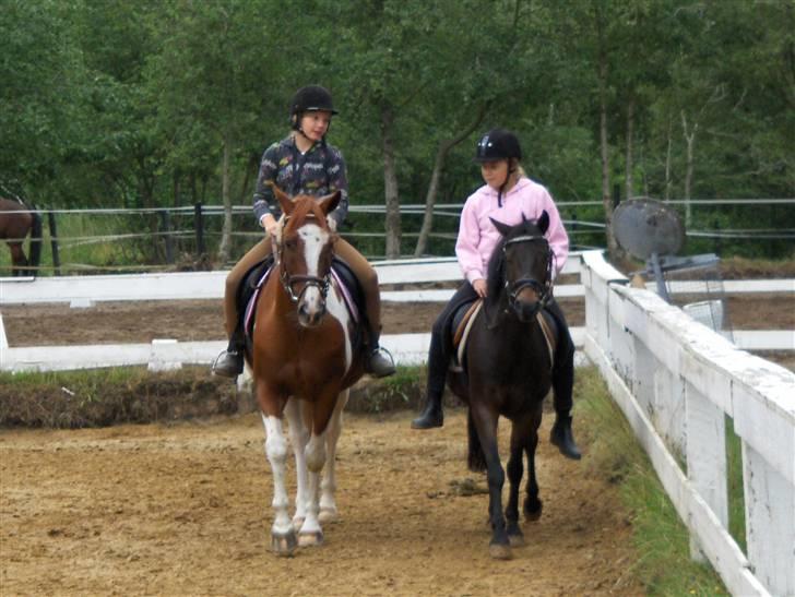 Pinto Vitus E (solgt) - rider på en af mine gamle heste og det erb buster hved siden af  billede 9