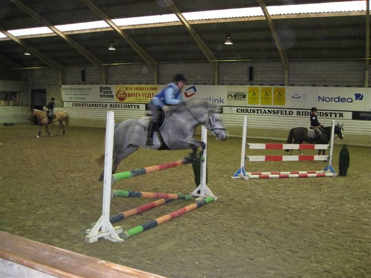 DSP Andy "SOLGT" - Spring undervisning på Vejle Rideskole med Tina Lund.  billede 3