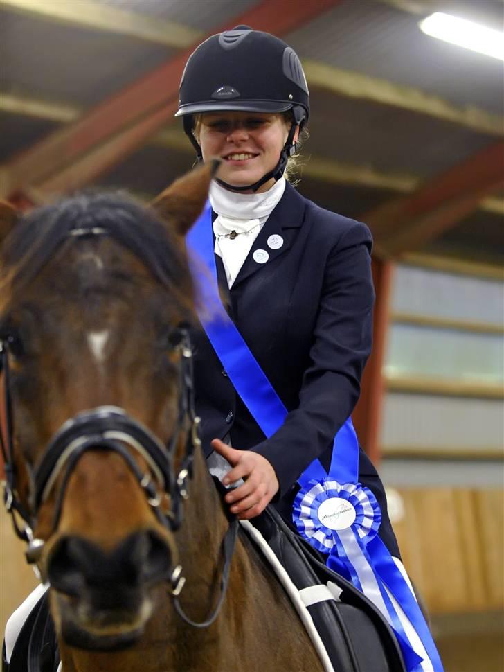 Hollandsk Sportspony Lukas | Superponyen - 2. plads i Klubmesterskabet;) Du er bare så fantastisk<3 billede 11