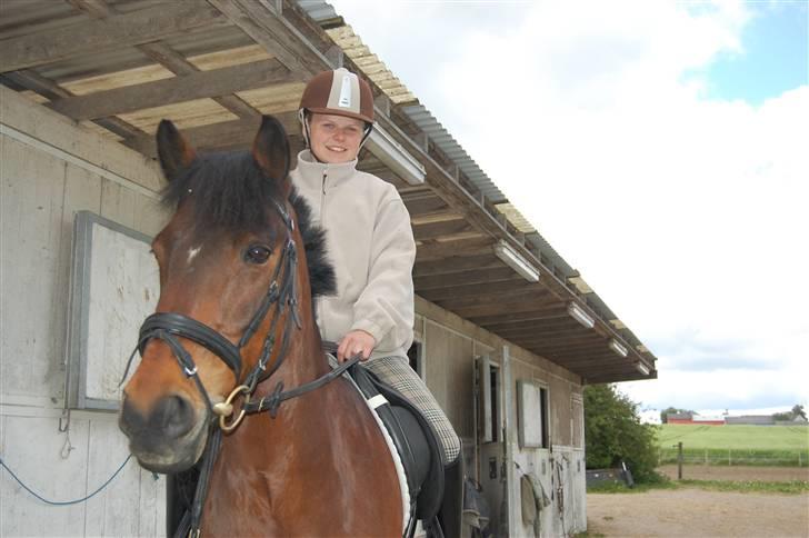 Hollandsk Sportspony Lukas | Superponyen - Smukkeste pony:D Foto: Thea, min elskede lillesøster:D billede 15