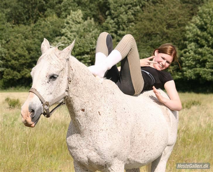 Arabisk fuldblod (OX) kivekas(kiwi)  x-hest - mette blev lidt træt hehe ;)) Foto: MIG :B billede 11