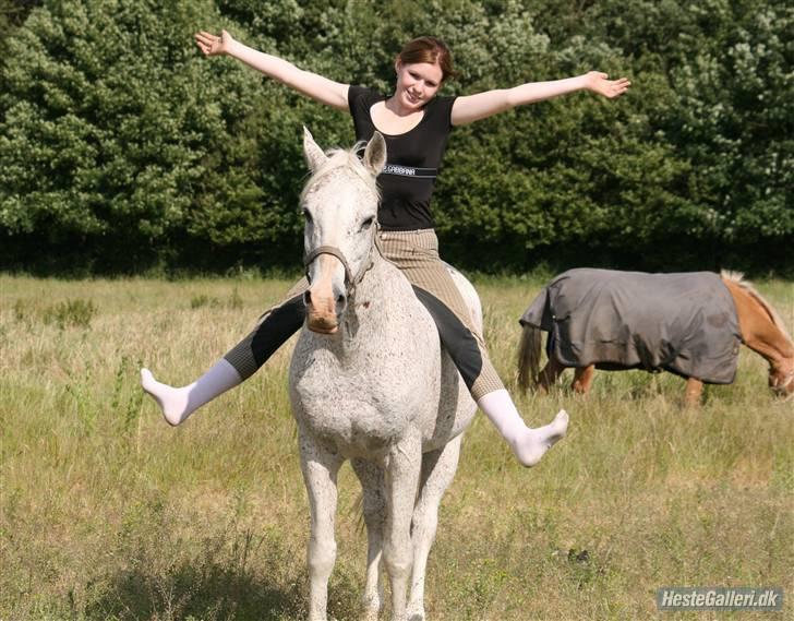 Arabisk fuldblod (OX) kivekas(kiwi)  x-hest - Kiwi og Mette ;b  Santana i baggrunden xD foto : MIG! ;b billede 12
