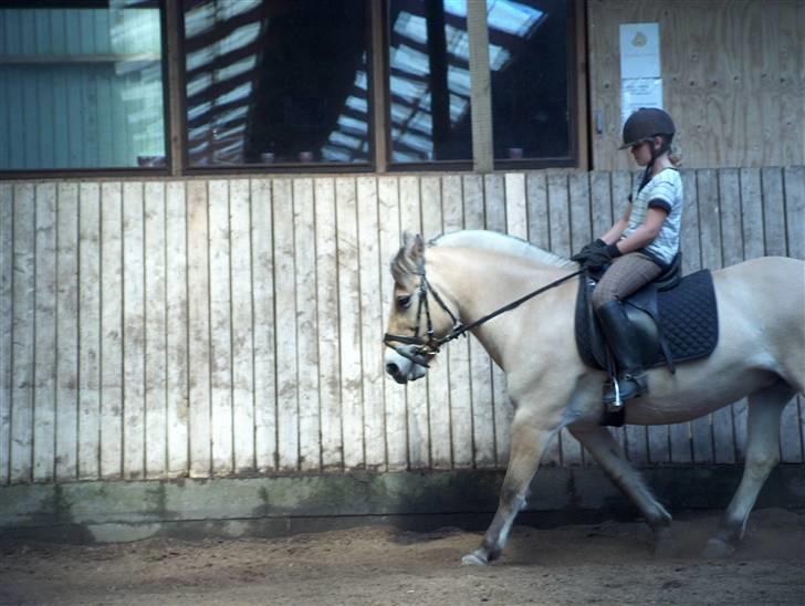 Fjordhest Musse/min søster's/Sandra - Jeg rider Musse ;D billede 10