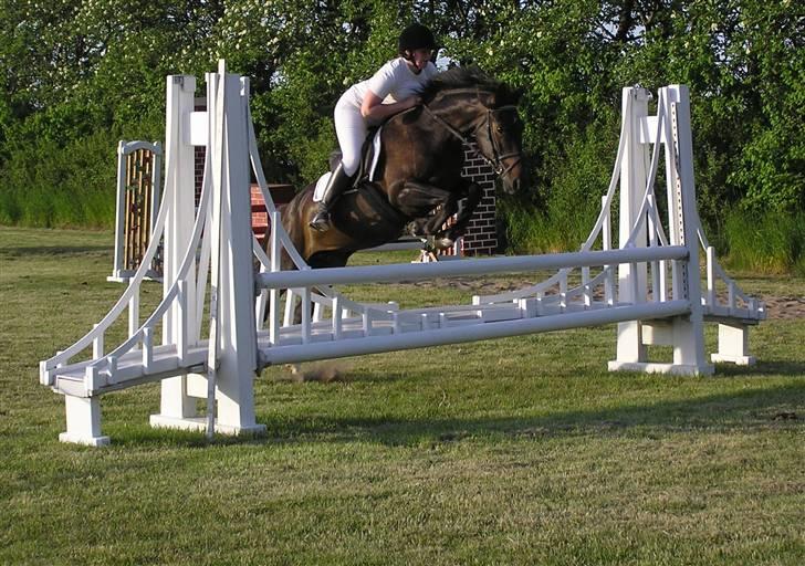 Anden særlig race Voldbjerggårds Musse - Musse og Jannike <3 Super billede! <3 Foto: Anita Lauridsen . billede 7