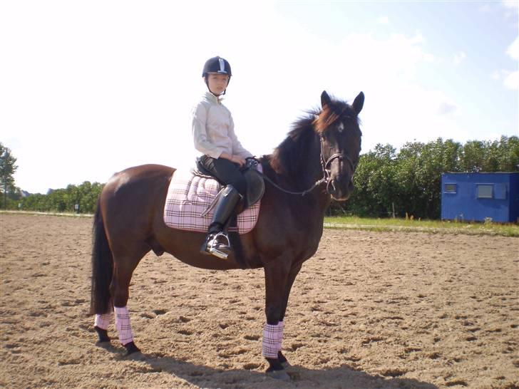 Anden særlig race TiMon  -solgt  - HER er han så ENDELIGT i sit nye burberry/lyserøde sæt ! :) Synes bare vi er kære! Se flere billeder af sættet i fotoalbummet  !:) billede 17