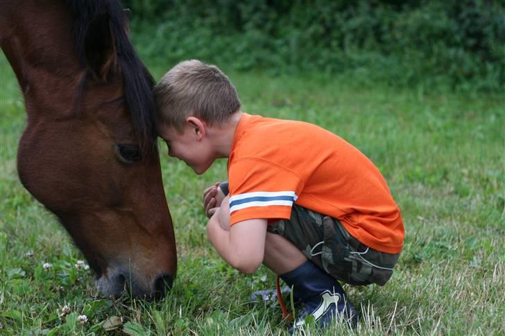 Anden særlig race Aki - # hygge med min bror juli 09 billede 14