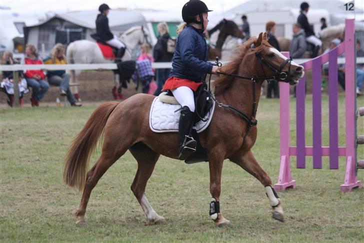 Anden særlig race DONNA - Donna og jeg - Morsø 2009. billede 3
