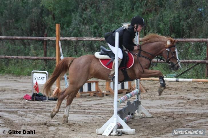 Anden særlig race DONNA - Donna og jeg - Kommunemesterskaberne 2008, fjerde plads.  billede 5