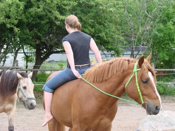 Anden særlig race William - så er man lige sej med grøn trense ;-) billede 9