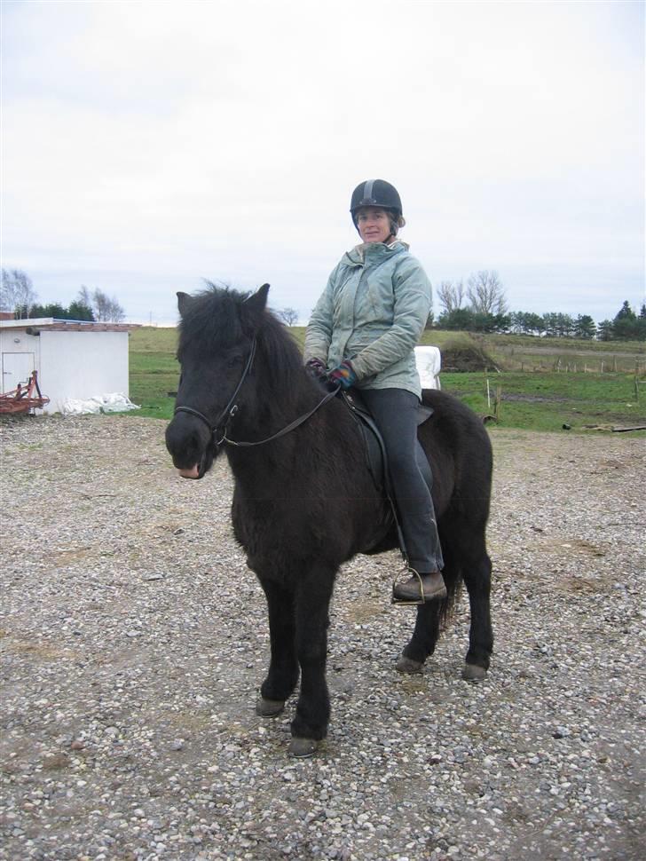 Islænder Dís fra Katulabo - dís fra Katulabo billede 1