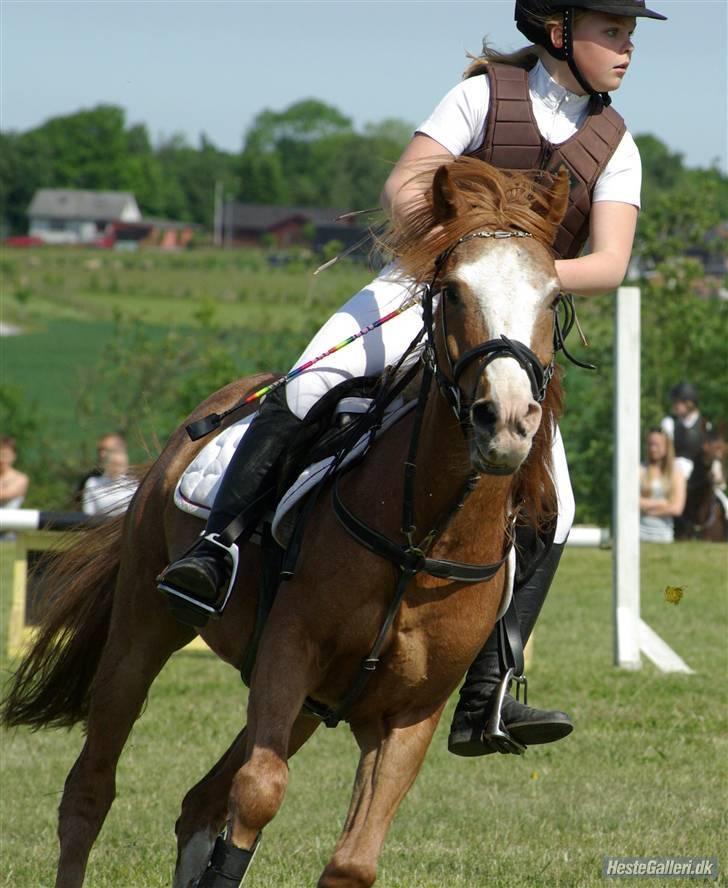 Anden særlig race DONNA - Donna og jeg - Lb, Thorsø. billede 14