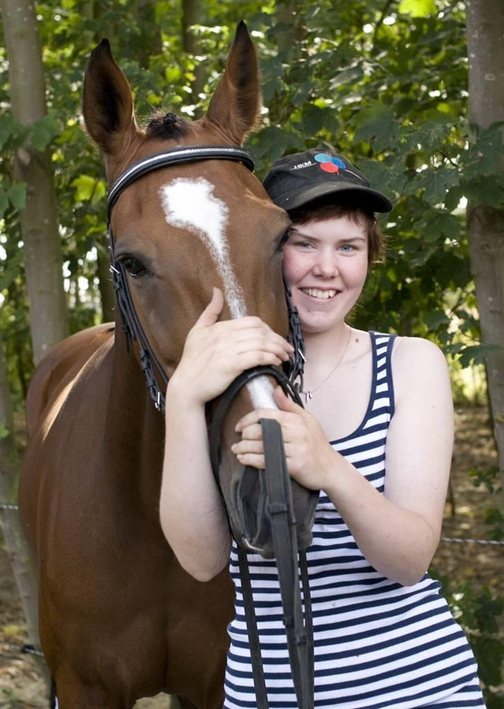 Standardbred Ifront Skalflex *RIP* - Næst sidste dag billede 1