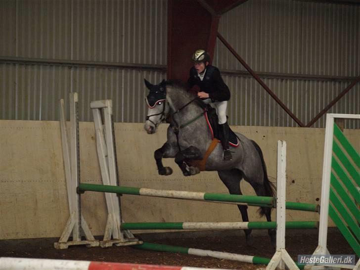 Sportsaraber (A) LilleStaruphøjs Sassi - stævne i boller billede 8