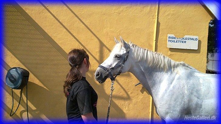 DSP STENVÆNGE SUPER STAR - 1) Da jeg var ude og se dig igen (´: N Y T billede 1