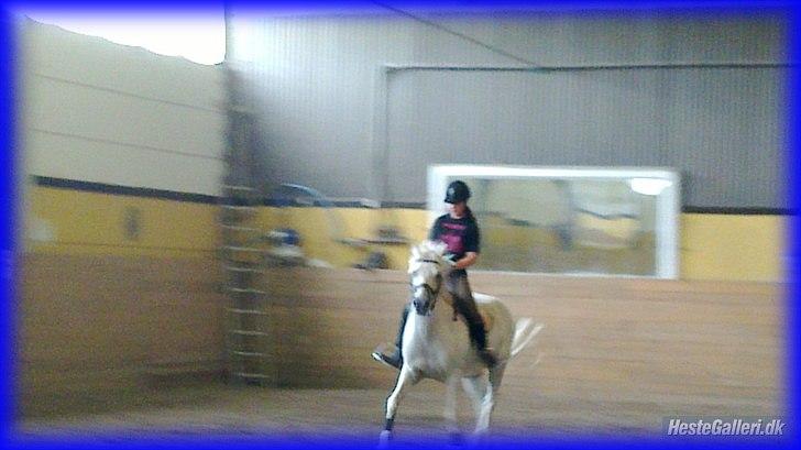 DSP STENVÆNGE SUPER STAR - 2) At ride dig igen, har gjort mig glad (´: <3 billede 2