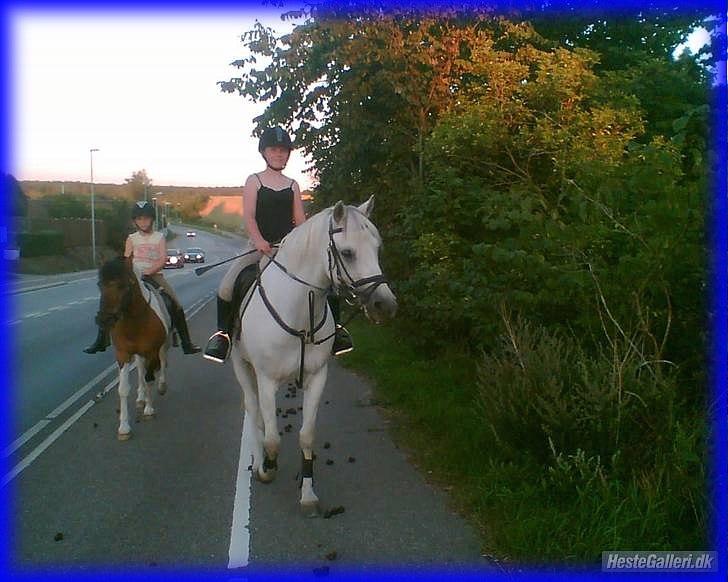 DSP STENVÆNGE SUPER STAR - 3) Fordi du var trafikvant <3 billede 3