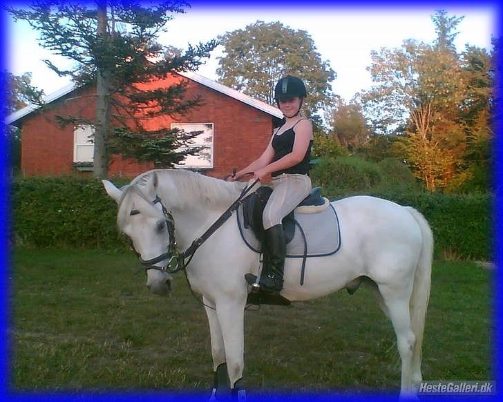 DSP STENVÆNGE SUPER STAR - 4) Fordi du var så dygtig <3 billede 4