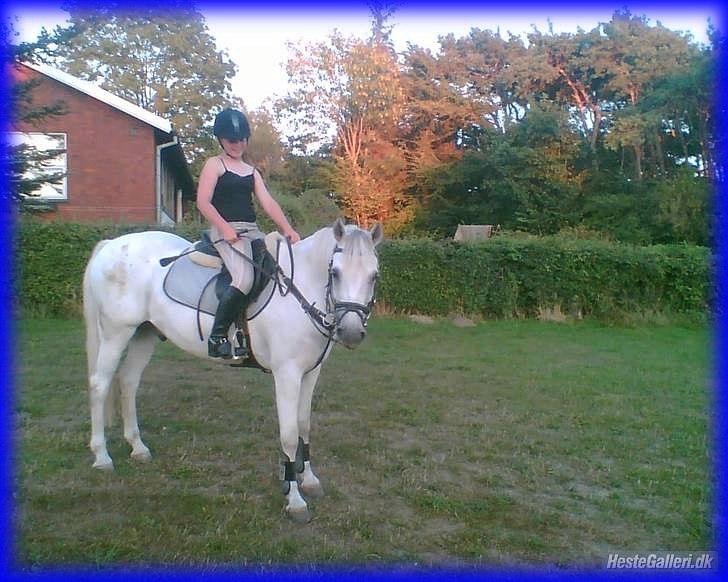 DSP STENVÆNGE SUPER STAR - 5) Fordi du var så helvedes fotogen <3 billede 5