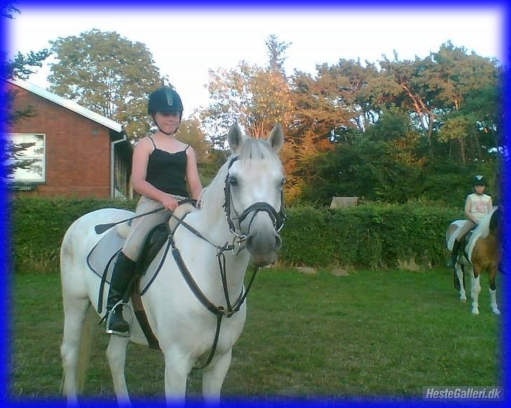 DSP STENVÆNGE SUPER STAR - 6) Fordi du var nysgerrig <3 billede 6