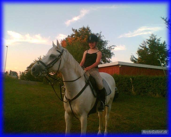 DSP STENVÆNGE SUPER STAR - 7) Fordi du var så smuk i det lys <3 billede 7