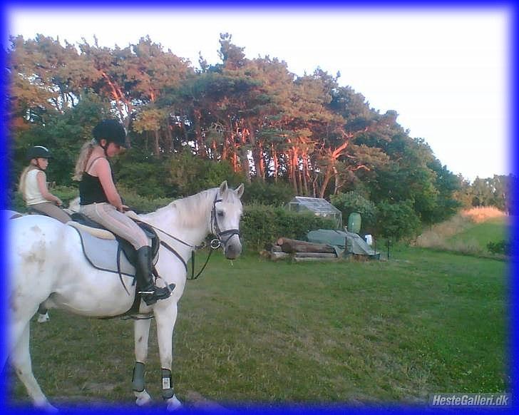 DSP STENVÆNGE SUPER STAR - 8) Fordi du var min perle <3 billede 8