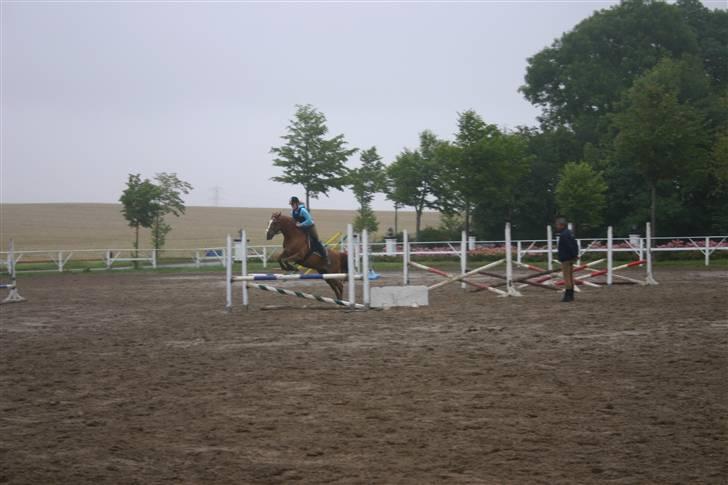 Irsk Sportspony Irish Duke :'(SOLGT :'( - Så startede springundervisningen igen - skønt billede 17