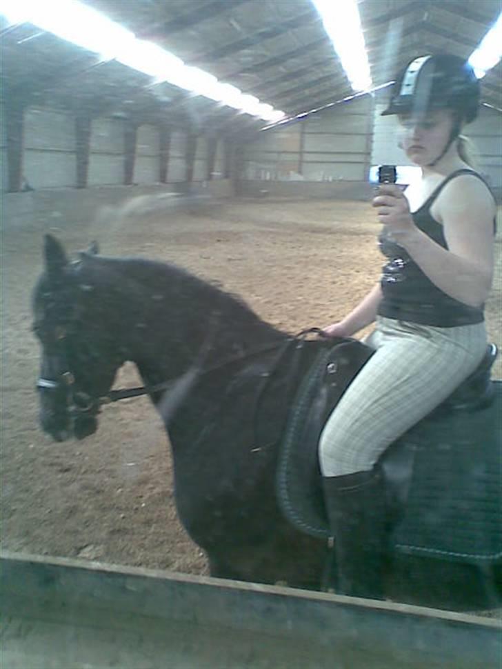 Anden særlig race Snip "Stoffer" Solgt - Line rider Stoffer (Line er Stoffers tidligere part) billede 14