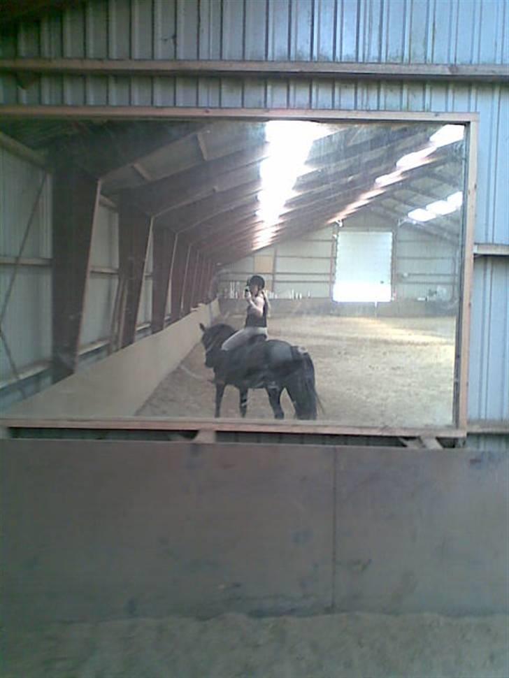 Anden særlig race Snip "Stoffer" Solgt - Se hvor aktive de er  billede 15