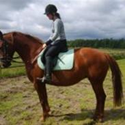 Palomino Tequila Sunrise