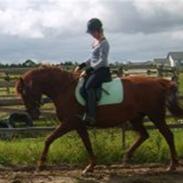 Palomino Tequila Sunrise