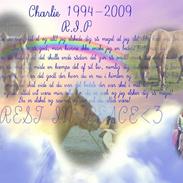 Anden særlig race Charlie (R.I.P)