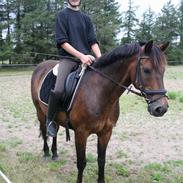 Anden særlig race Cabaret
