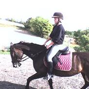 Oldenborg Møllevangs Emma *R.I.P.*