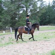 Anden særlig race Cabaret