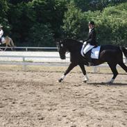 Oldenborg Orfus Højbogård