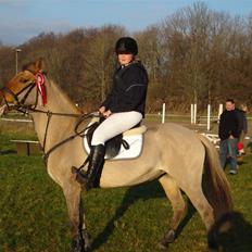 Anden særlig race Sussie (*DØD)